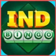 IND BINGO icon